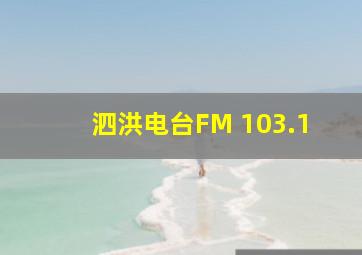 泗洪电台FM 103.1